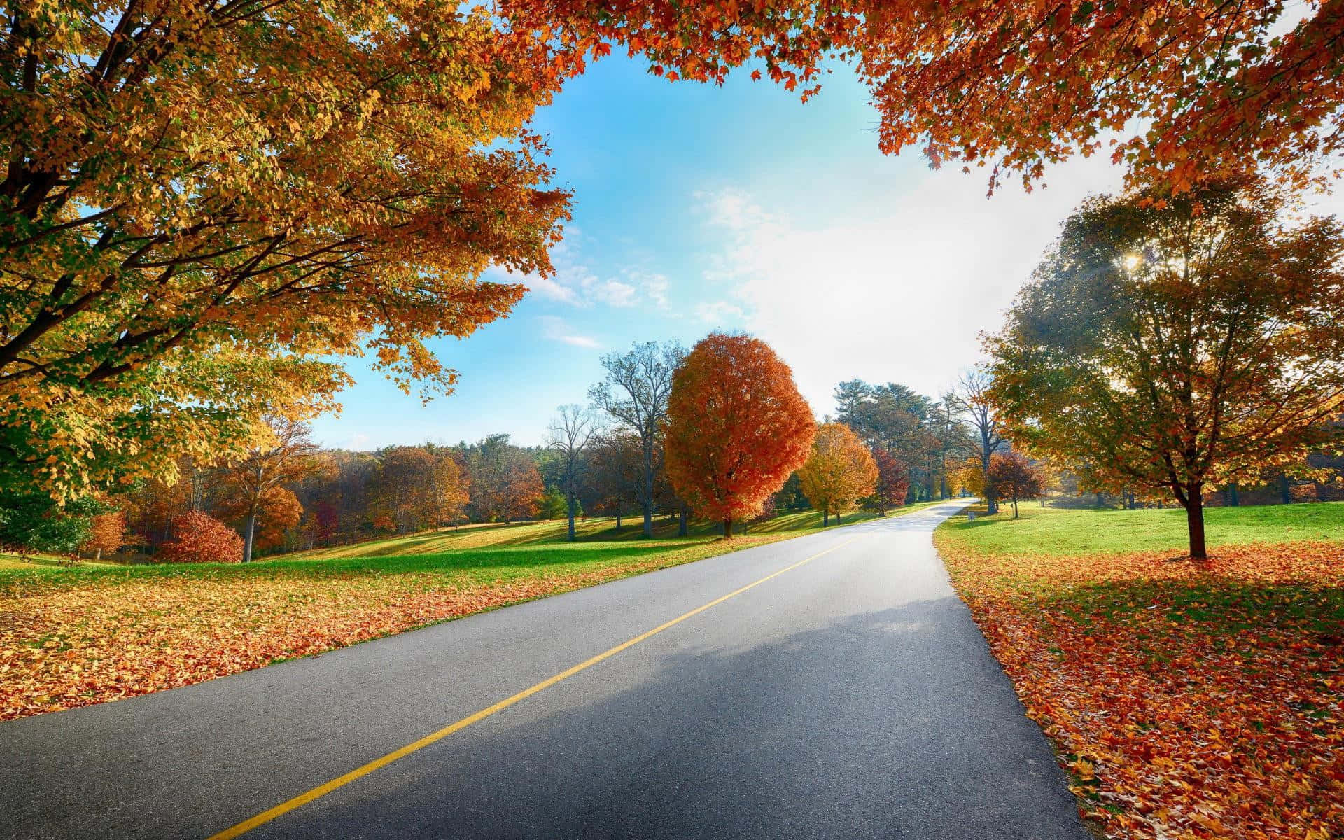 Fall Country, winding road, autumn forest, Full HD Desktop Wallpaper