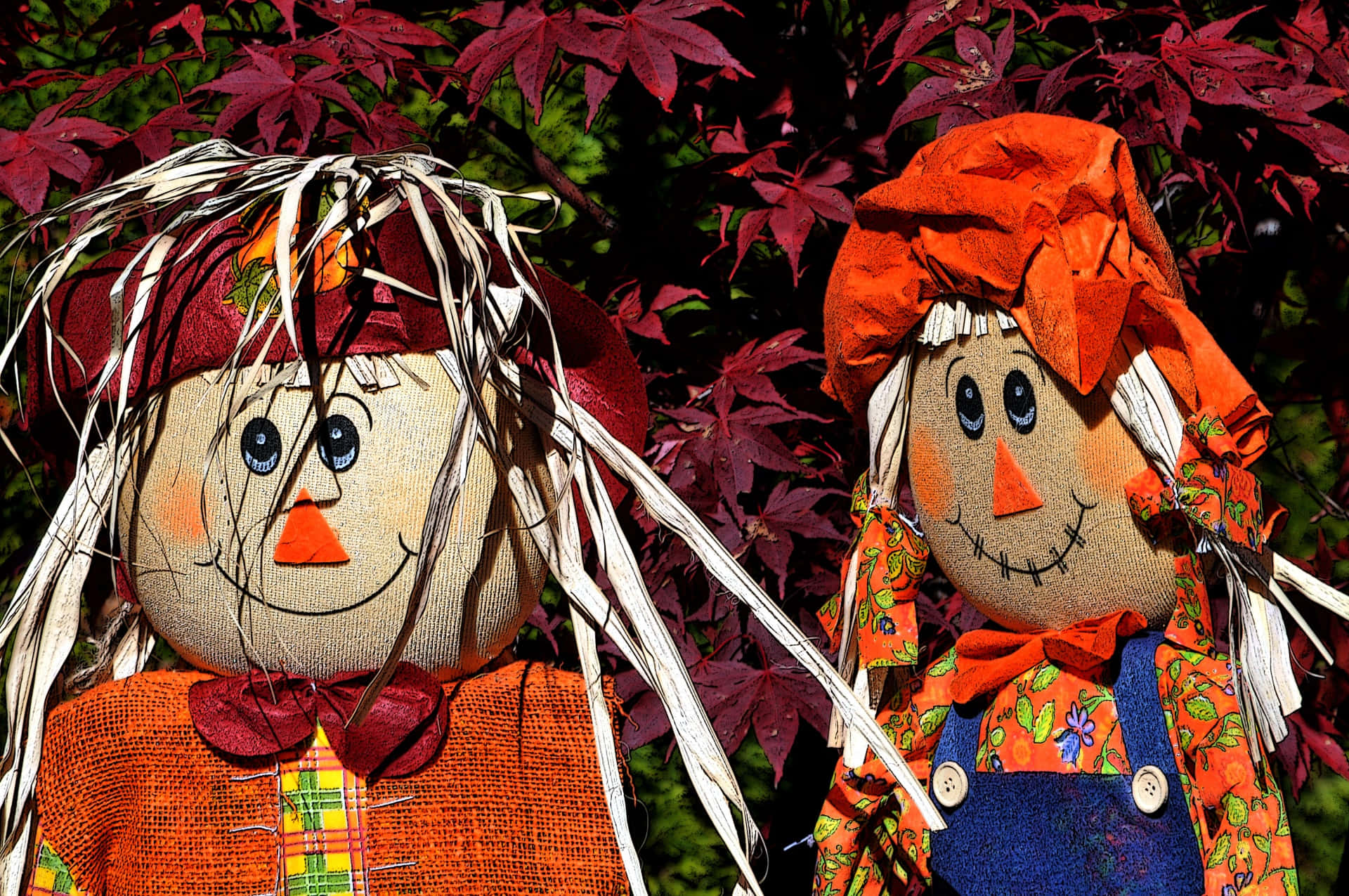 Fall Scarecrow, straw hair, bright clothing, Full HD Desktop Wallpaper
