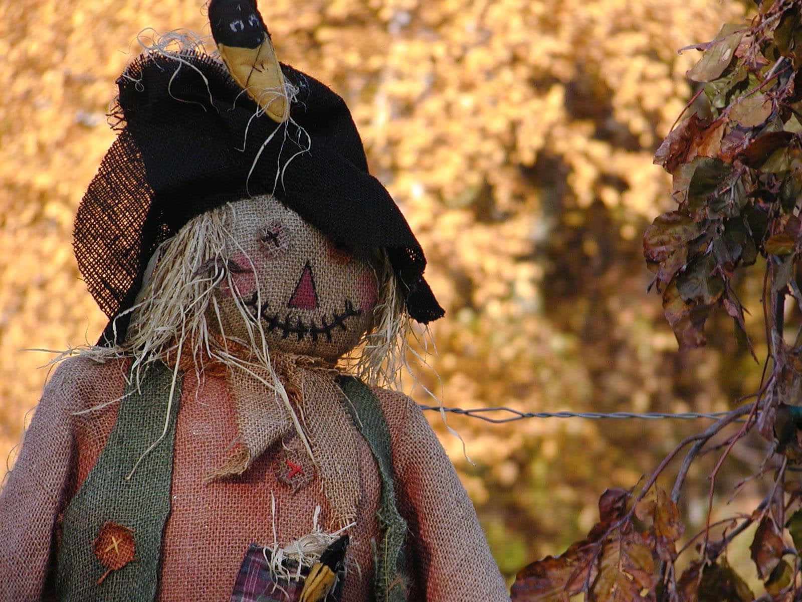 Fall Scarecrow, black hat, stitched smile, HD Desktop Wallpaper