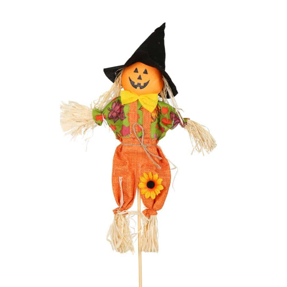 Fall Scarecrow, pumpkin head, witch hat, SD Desktop Wallpaper