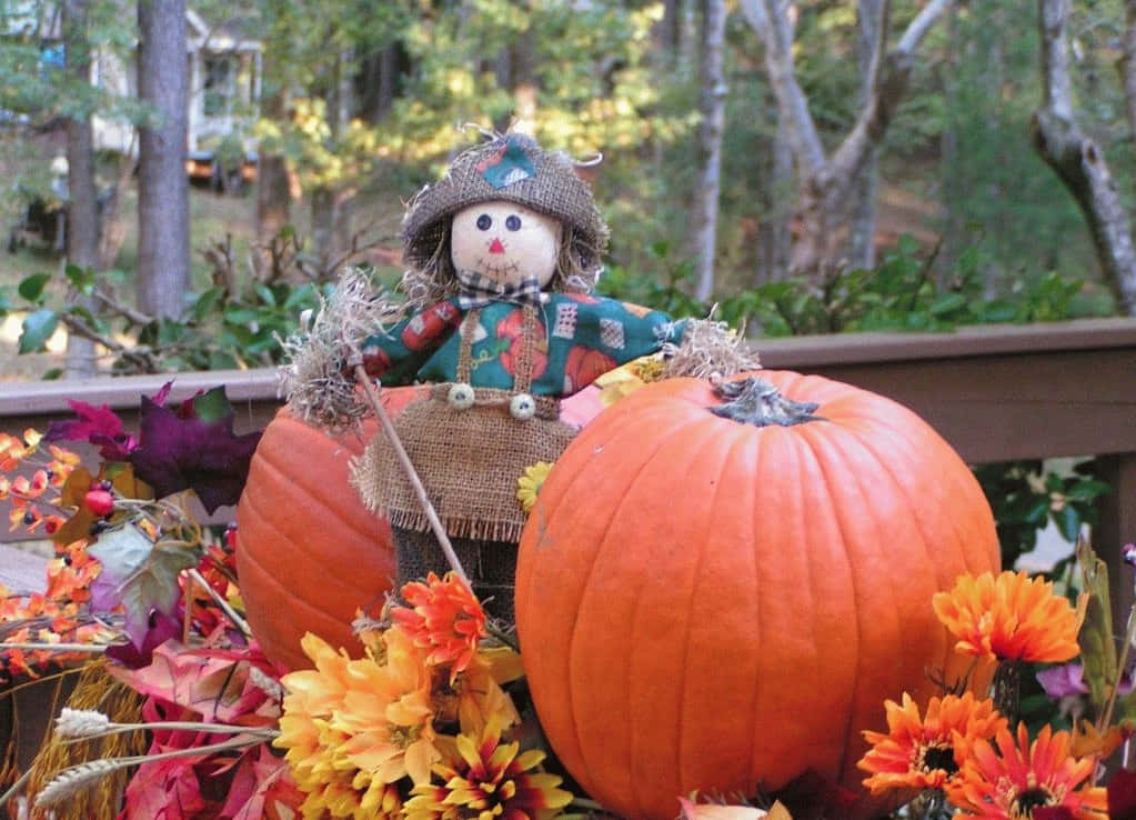 Fall Scarecrow, pumpkins, autumn flowers, SD Desktop Wallpaper