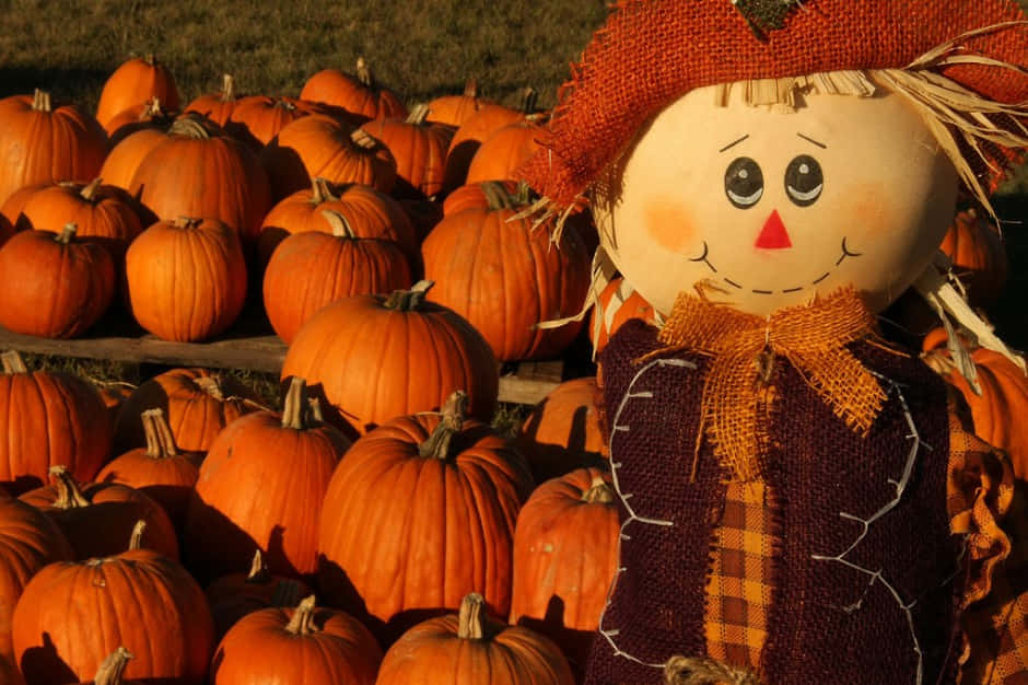 fall scarecrow, burlap hat, stitched smile, SD Desktop Wallpaper