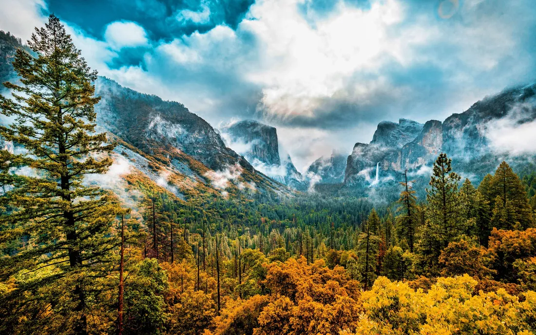 Fall Scenes