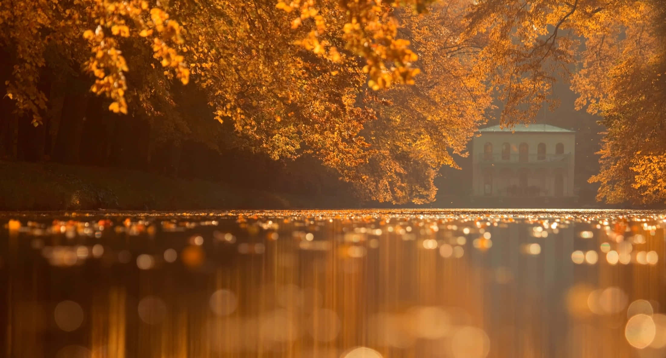 Fall Scenes, lake, golden autumn leaves, Full HD Desktop Wallpaper