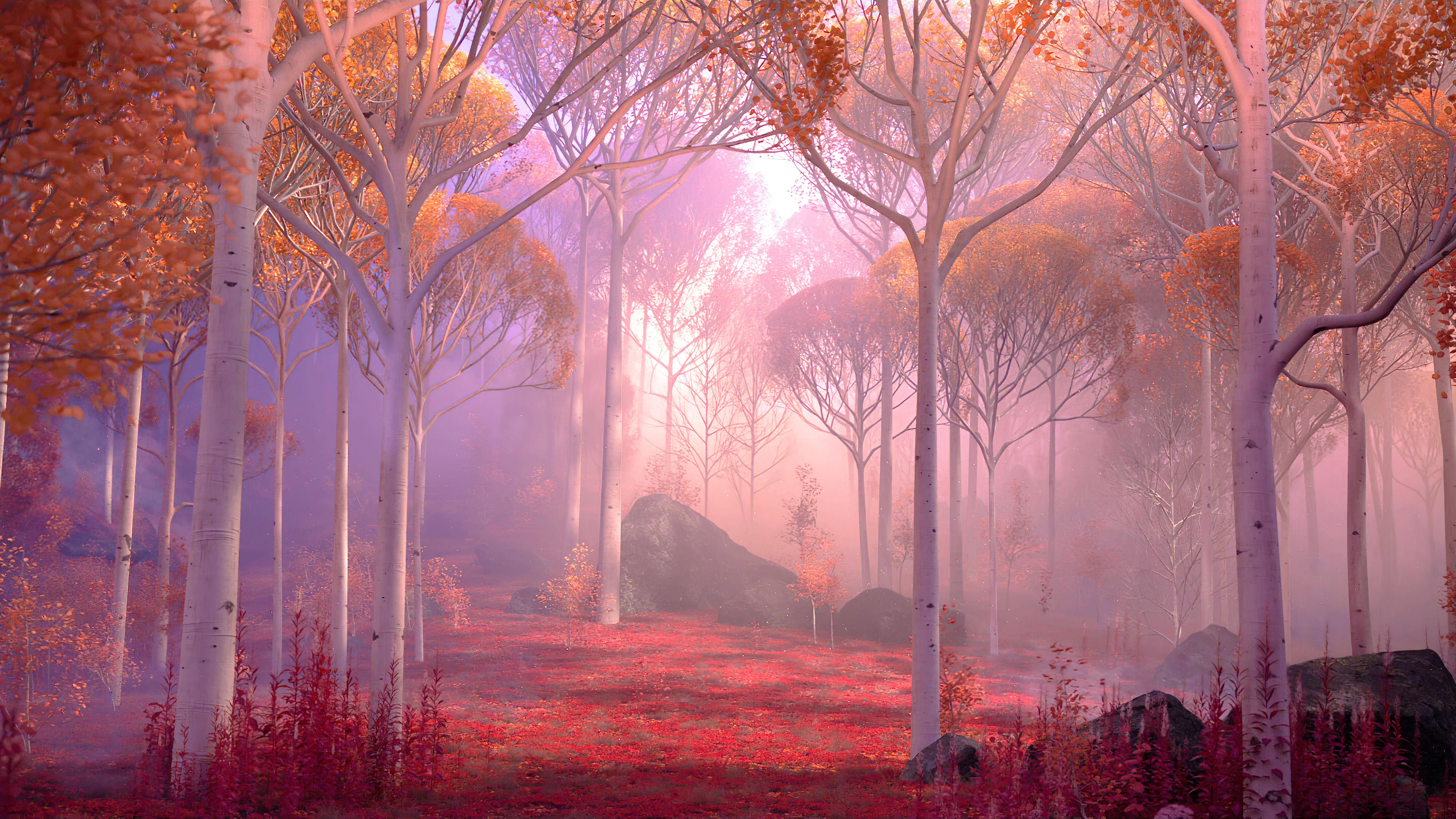 12K, autumn landscape, misty forest, 8K Desktop Wallpaper