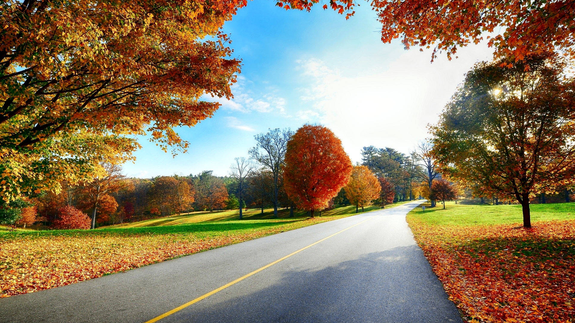 Fall Season, autumn forest, fiery red and orange leaves, Full HD Desktop Wallpaper
