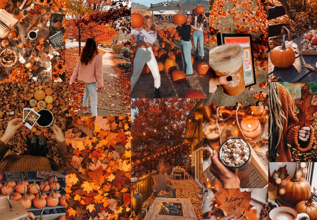 autumn, pumpkins, falling leaves, SD Desktop Wallpaper