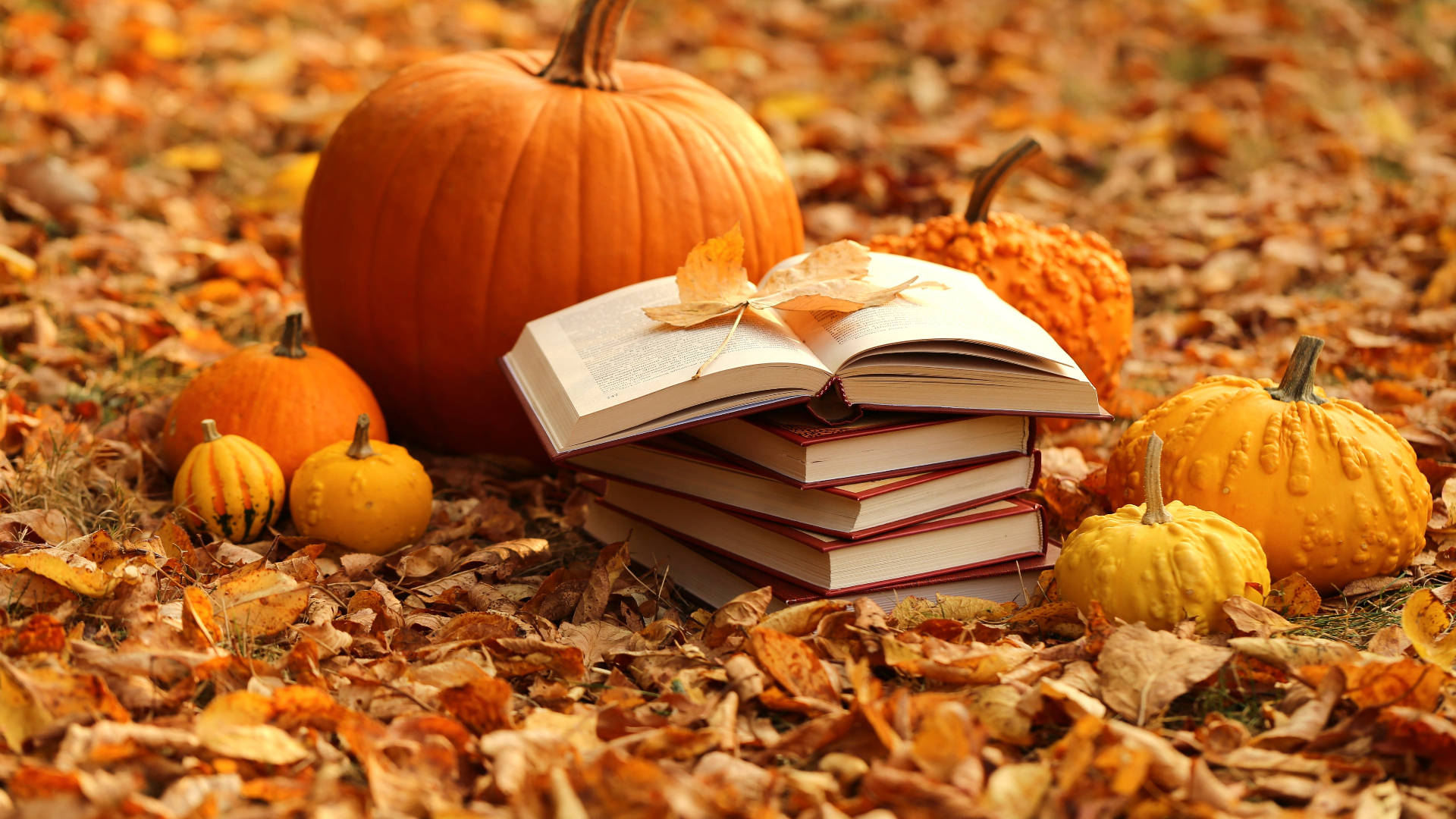 Books And Pumpkins For Autumn MacBook, books, pumpkins, Full HD Desktop Wallpaper