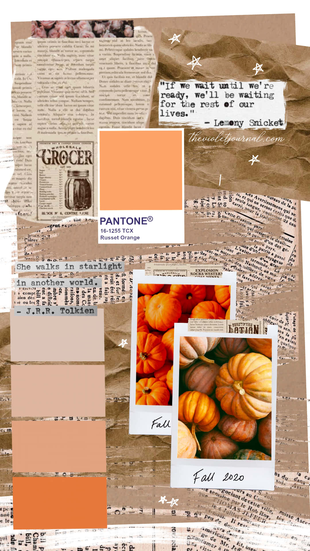autumn, pumpkins, Pantone swatches, Full HD Phone Wallpaper