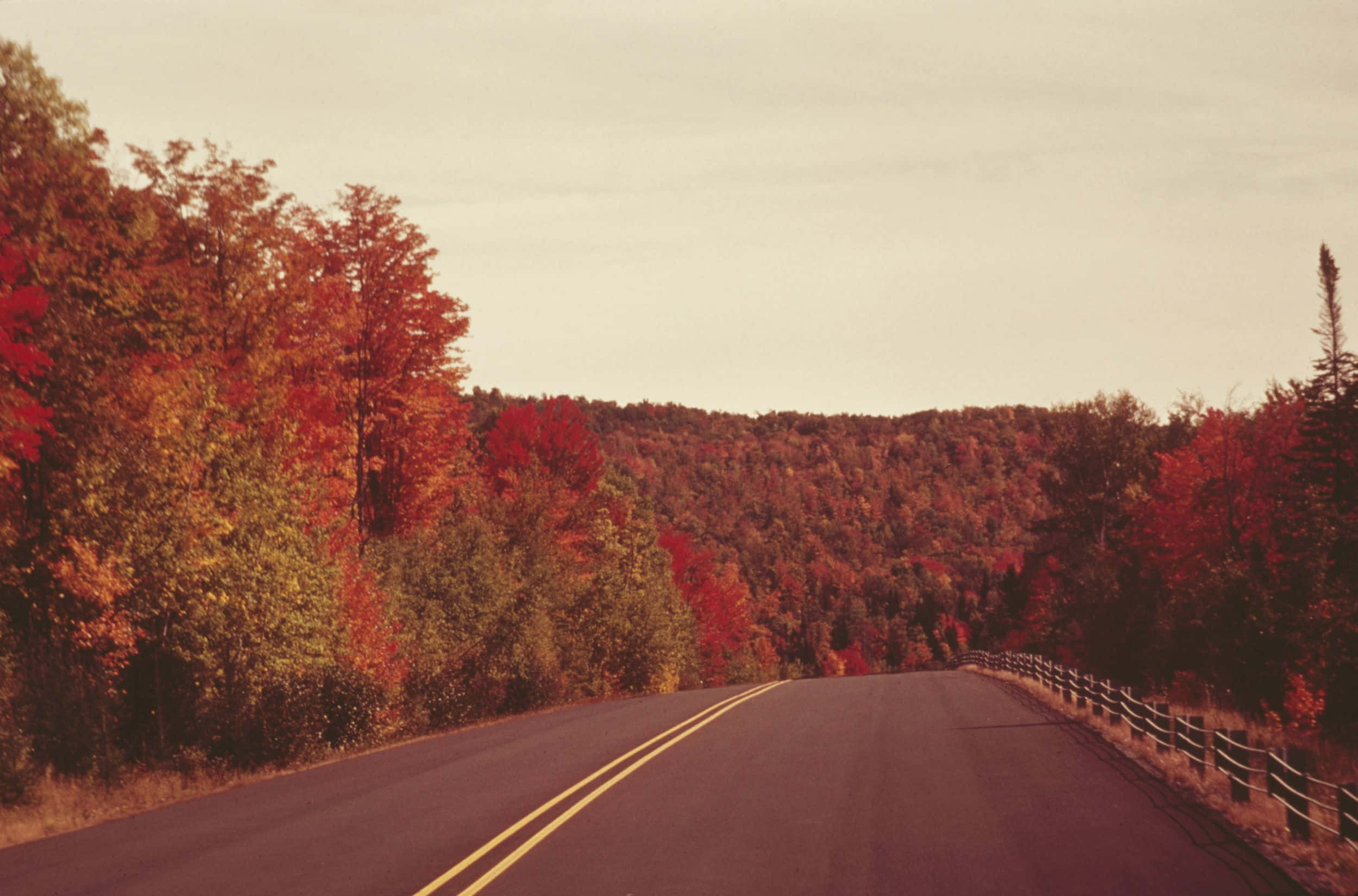 autumn road trip scenery, winding asphalt road, dense forest, Full HD Desktop Wallpaper