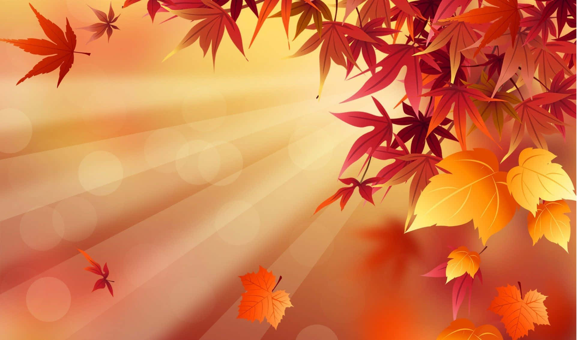 autumn maple leaves, red orange and yellow, warm glowing sunset, Full HD Desktop Wallpaper