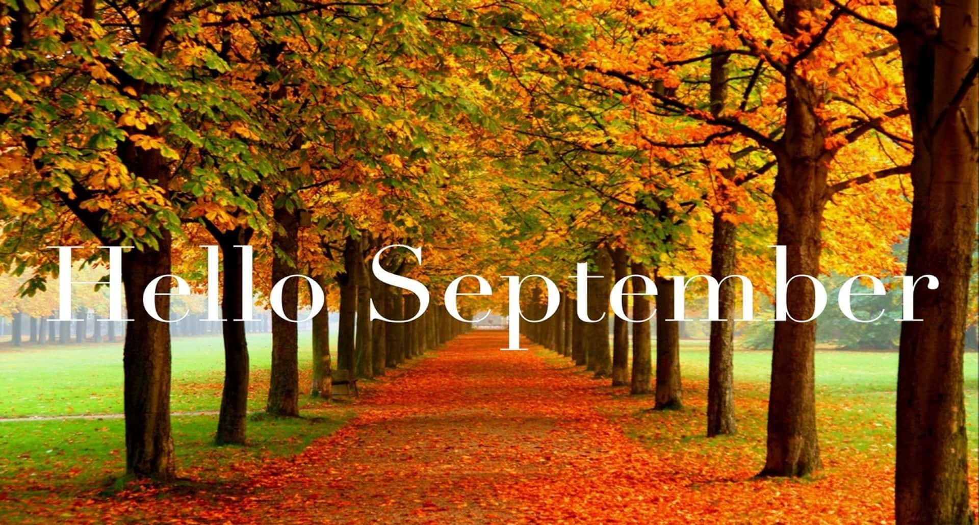 September, Fall, autumn path, Full HD Desktop Wallpaper