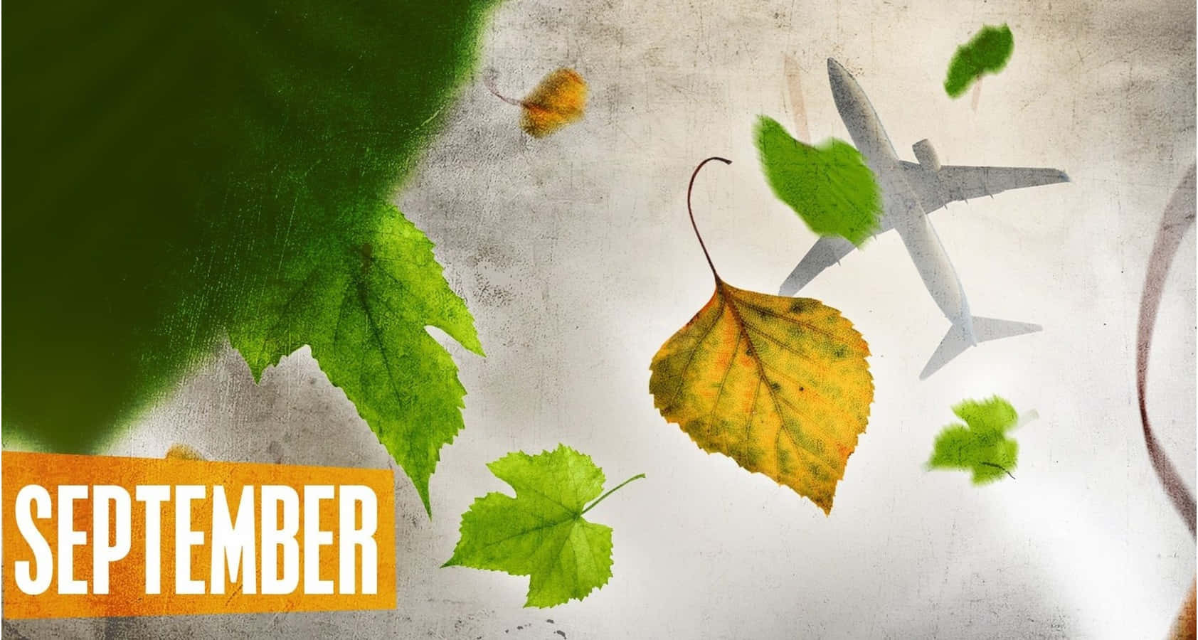 September, fall leaves, airplane, HD Desktop Wallpaper