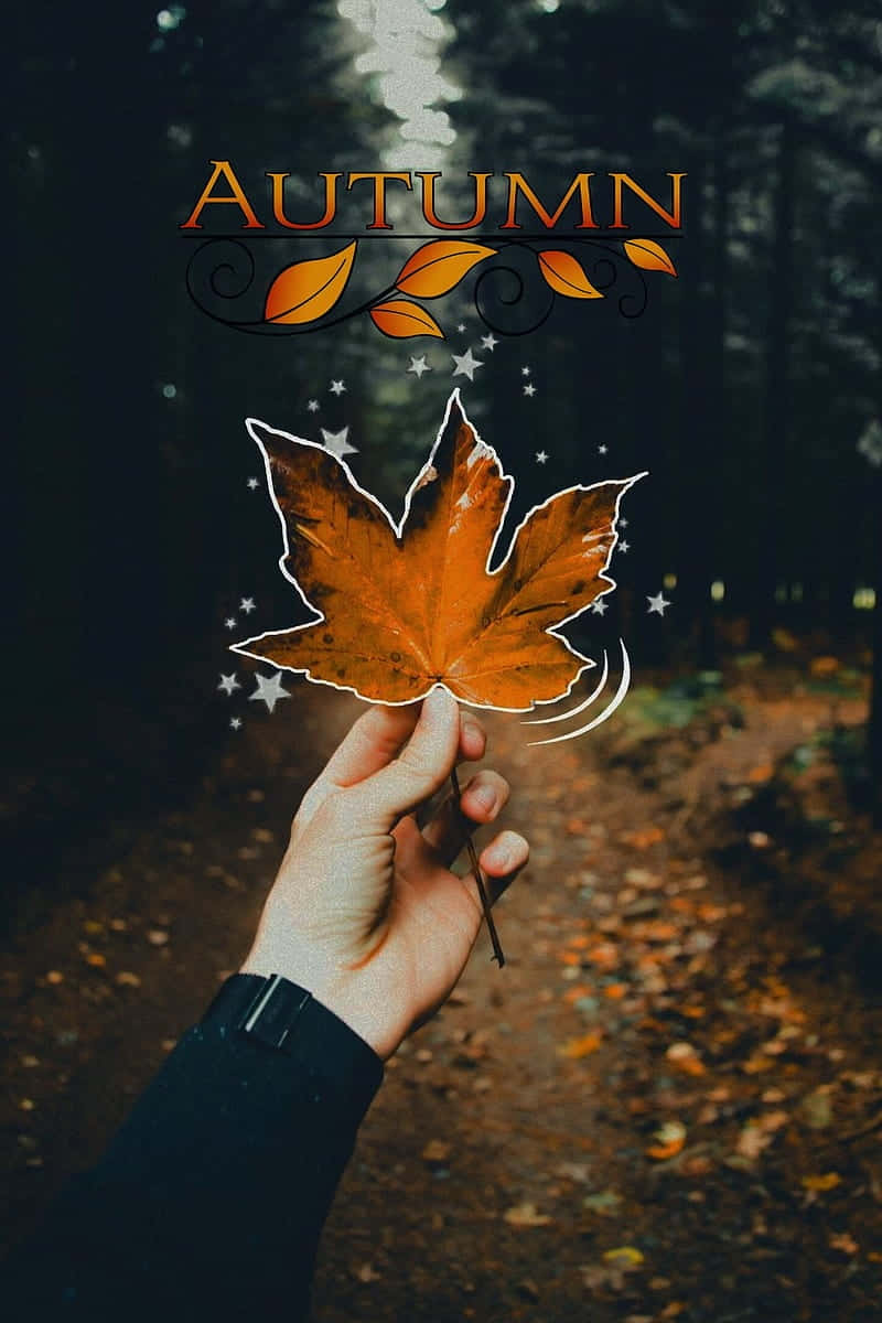 vibrant orange maple leaf, dark forest backdrop, glowing text, SD Phone Wallpaper