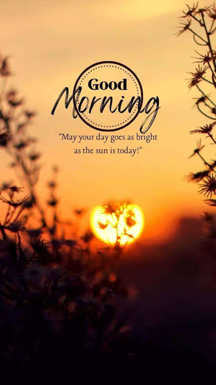 Good Morning, golden sunrise, silhouetted thistles, HD Phone Wallpaper