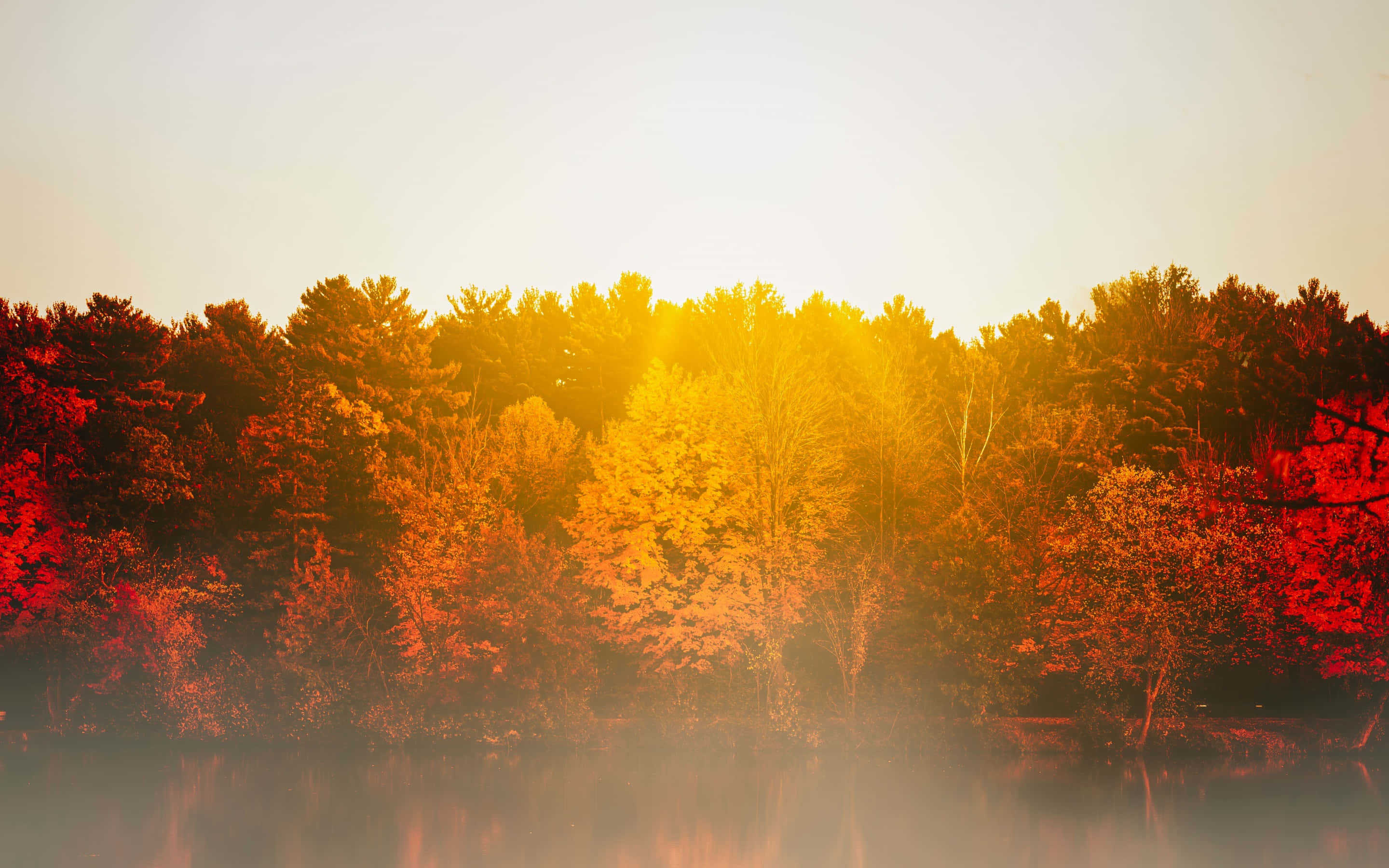 autumn trees, misty water, dawn, 2K Desktop Wallpaper
