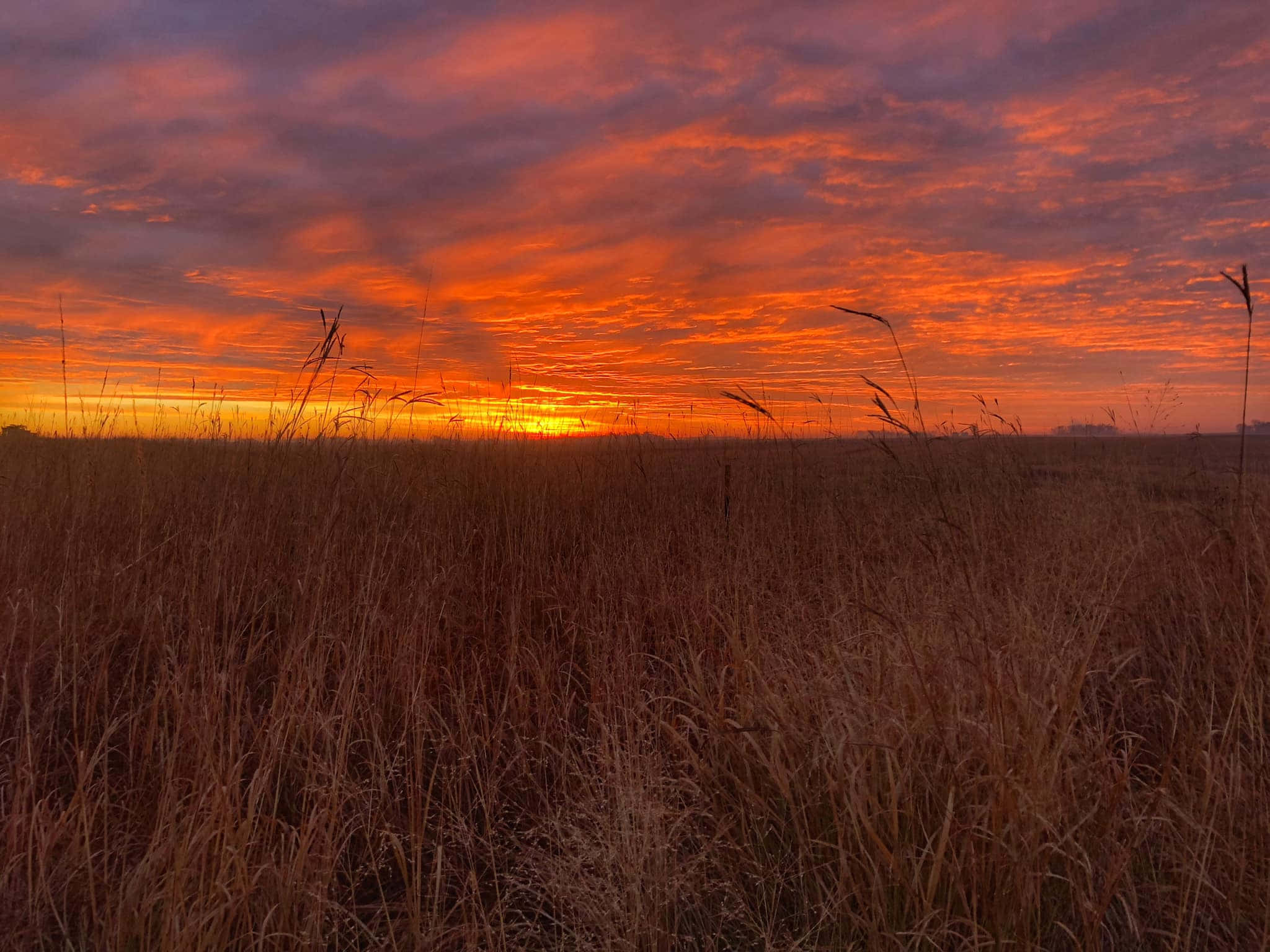 autumnal sunrise, amber sky, fiery sunset, Full HD Desktop Wallpaper