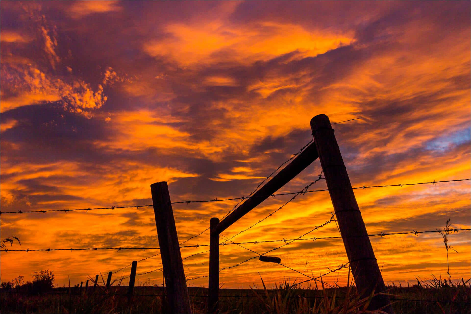 autumnal sunrise, fence silhouette, barbed wire fence, Full HD Desktop Wallpaper