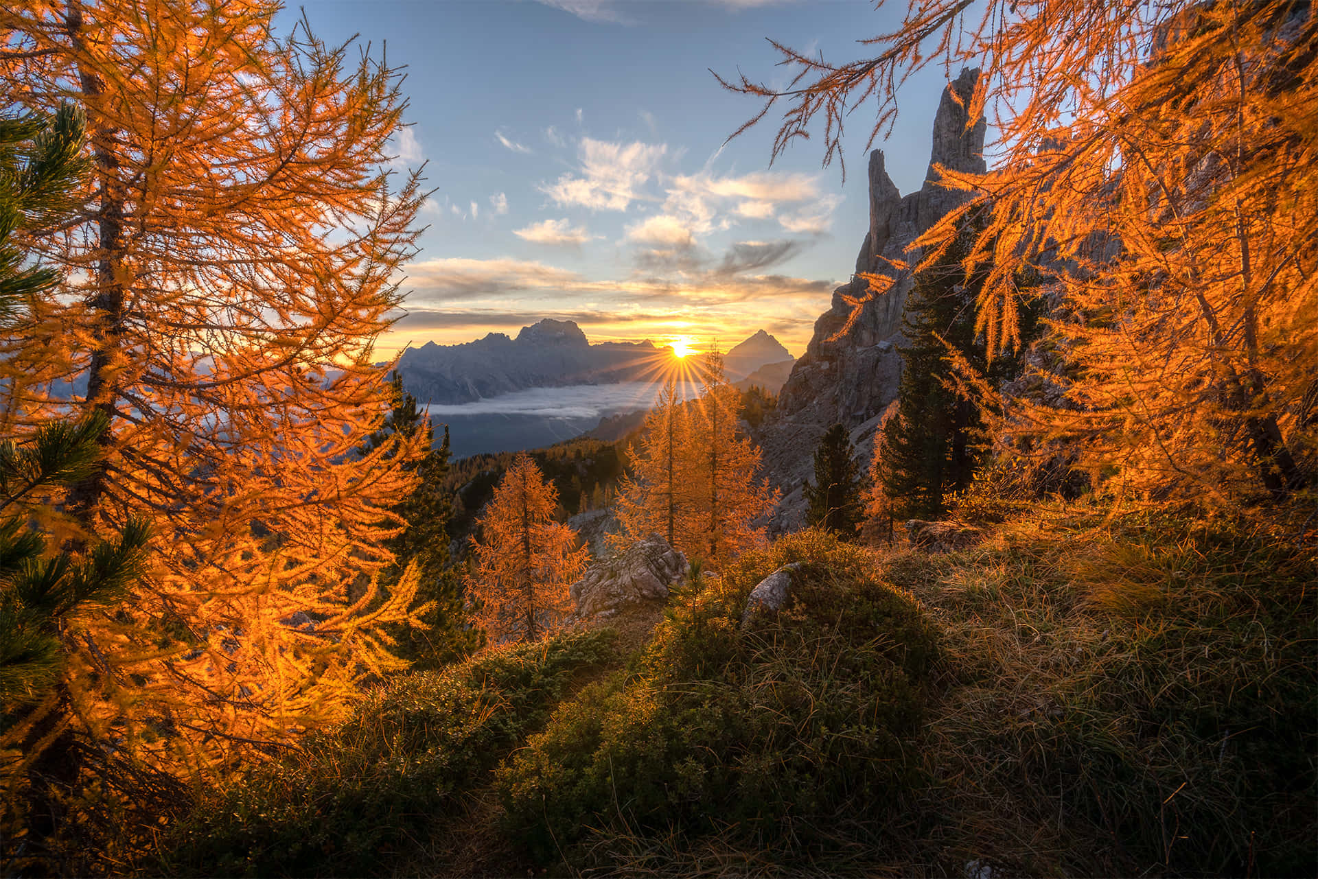 Fall Sunrise, golden larch trees, sunburst, Full HD Desktop Wallpaper