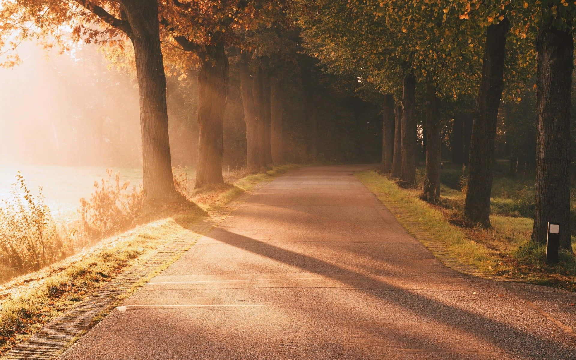 Fall Sunrise, misty autumn road, forest, Full HD Desktop Wallpaper