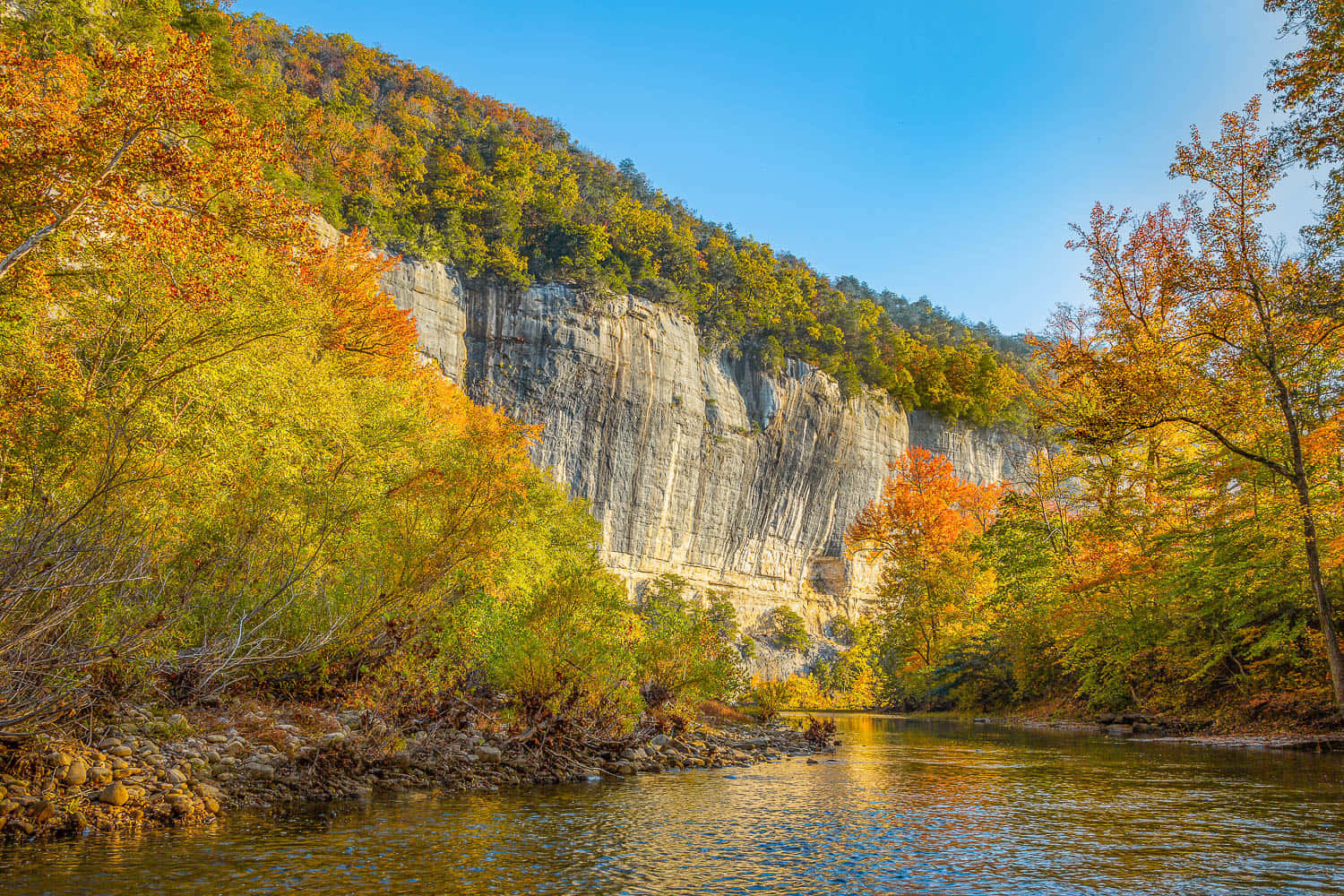 autumn woods, fiery orange and gold leaves, calm water, HD Desktop Wallpaper