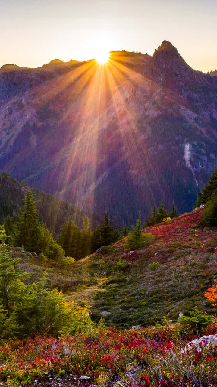 autumnal mountain sunrise, sunburst rays, mountain peaks, HD Phone Wallpaper