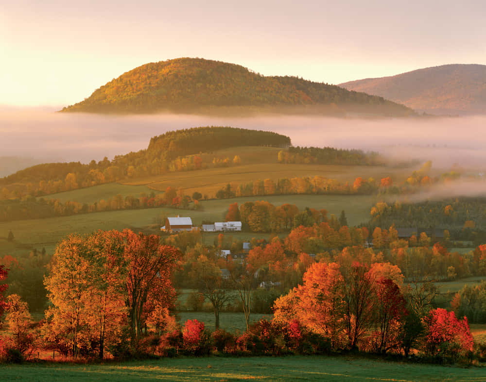 autumnal morning mist, farm landscape, golden morning light, SD Desktop Wallpaper