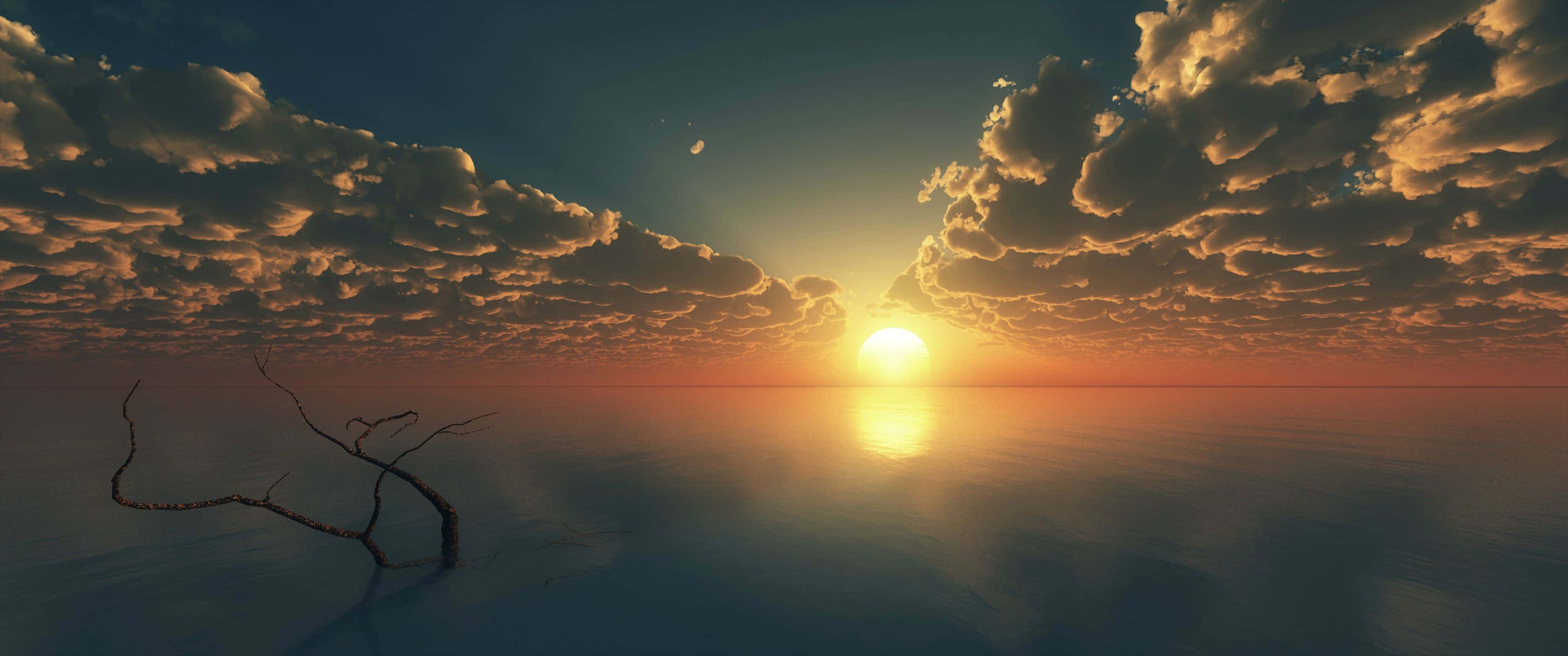 sunset, golden clouds, bare tree branch, 2K Desktop Wallpaper