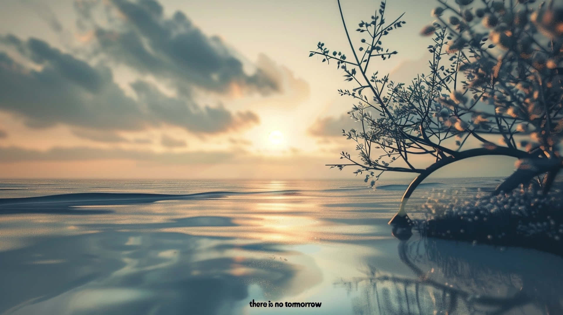 Serene Sunset Reflections, sunset, calm ocean waters, Full HD Desktop Wallpaper