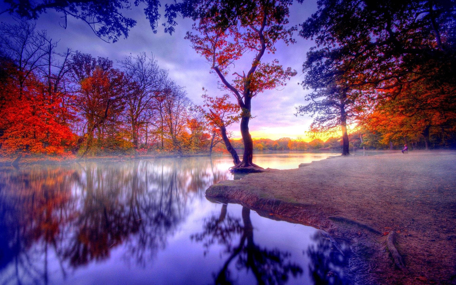fall sunset, fiery red leaves, misty lake, Full HD Desktop Wallpaper