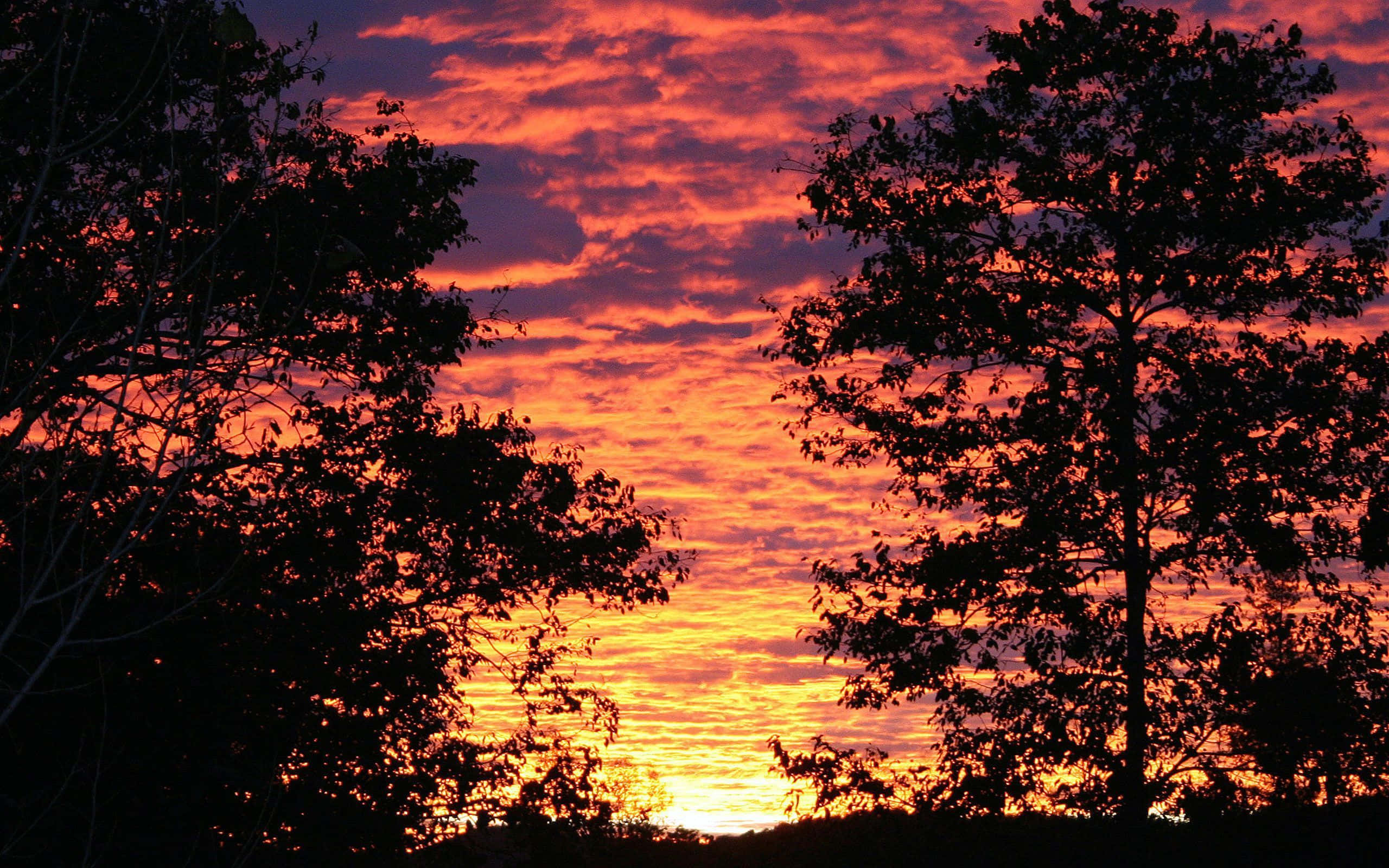 Fall Sunset, fiery orange and purple sunset sky, textured clouds, 2K Desktop Wallpaper