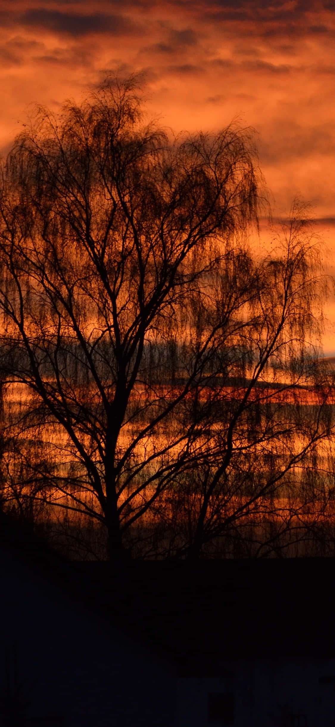 Fall Sunset, fiery orange sunset, calm water, Full HD Phone Wallpaper