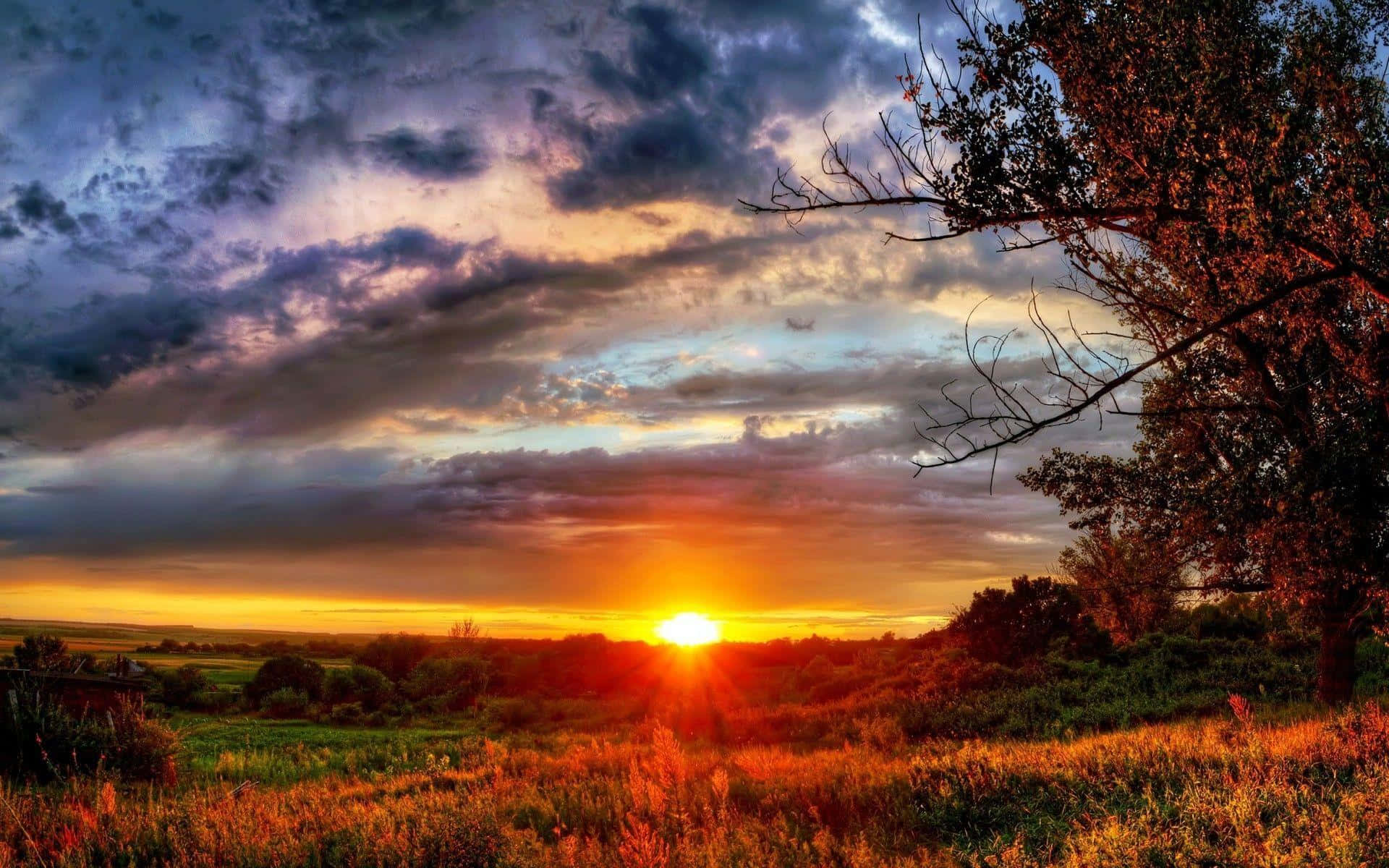 Fall Sunset, fiery orange, deep purple, Full HD Desktop Wallpaper