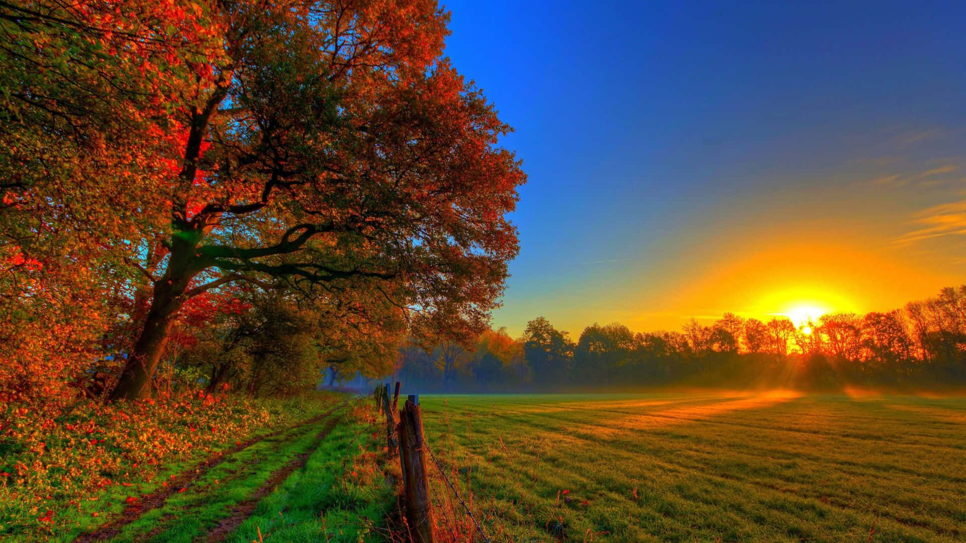 Fall Sunset, autumn landscape, fiery leaves, Full HD Desktop Wallpaper