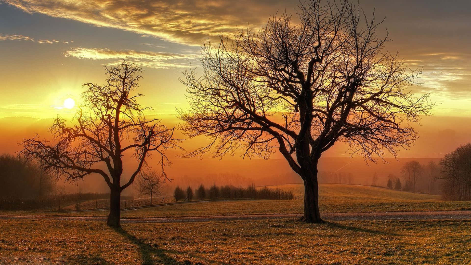 autumn, sundown, fiery orange sunset, Full HD Desktop Wallpaper