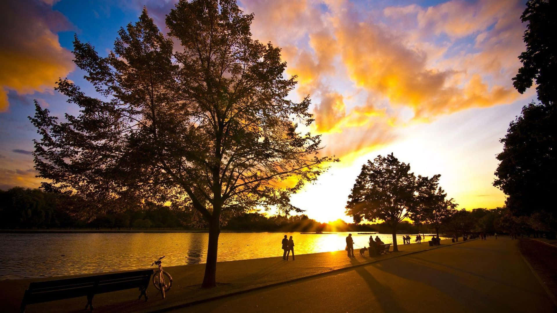 Fall Sunset, sunset, fiery orange, Full HD Desktop Wallpaper