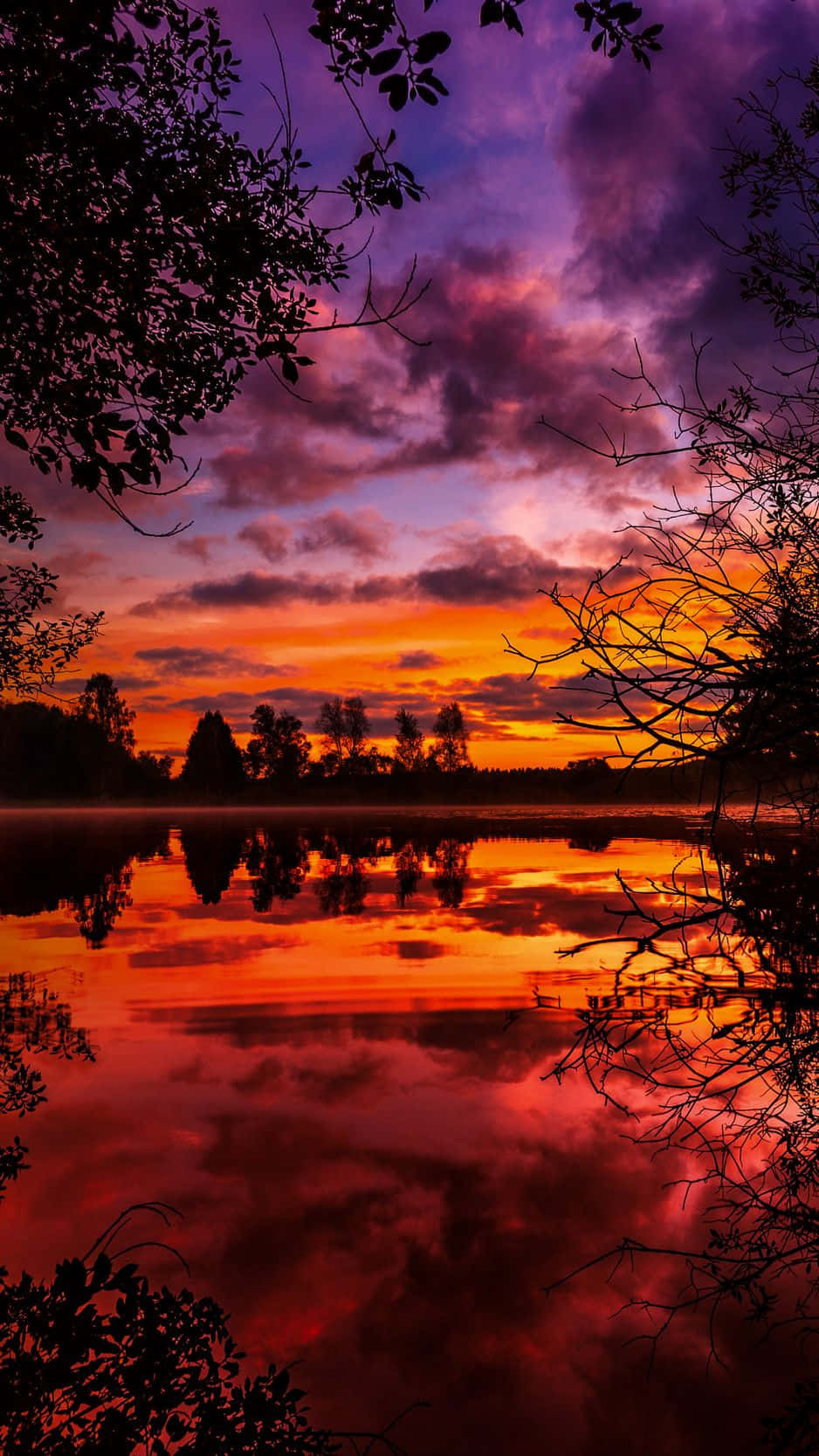 Fall Sunset, fiery orange, deep purple, HD Phone Wallpaper