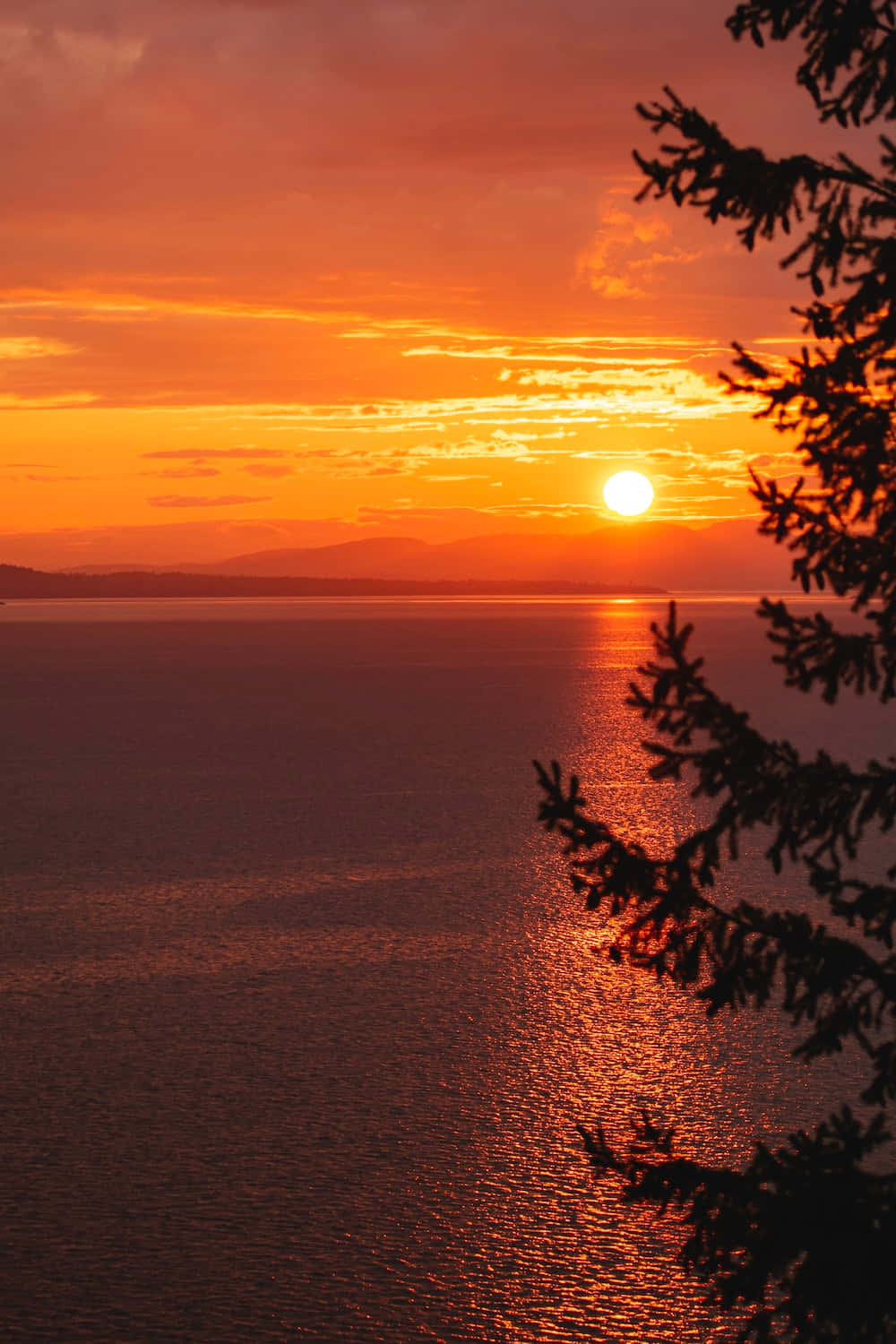 Fall Sunset, fiery sunset, calm sea, HD Phone Wallpaper