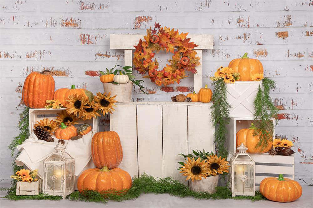 Fall Thanksgiving, pumpkins, sunflowers, SD Desktop Wallpaper