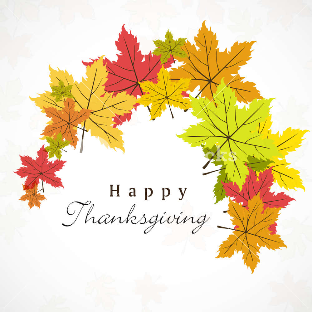 Fall Thanksgiving, autumn maple leaves, red yellow and green, SD Desktop Wallpaper