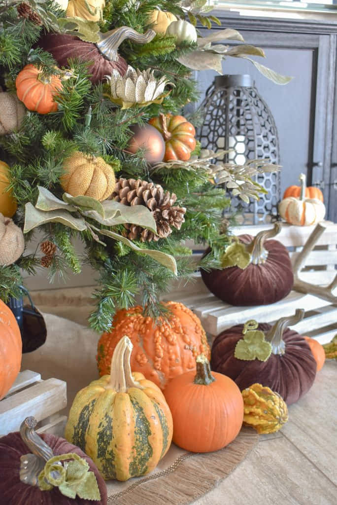 Fall Thanksgiving, pumpkins, pinecones, SD Phone Wallpaper
