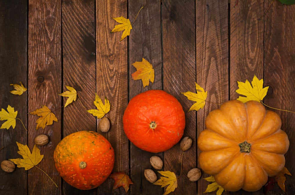 Fall Thanksgiving, three pumpkins, yellow leaves, SD Desktop Wallpaper
