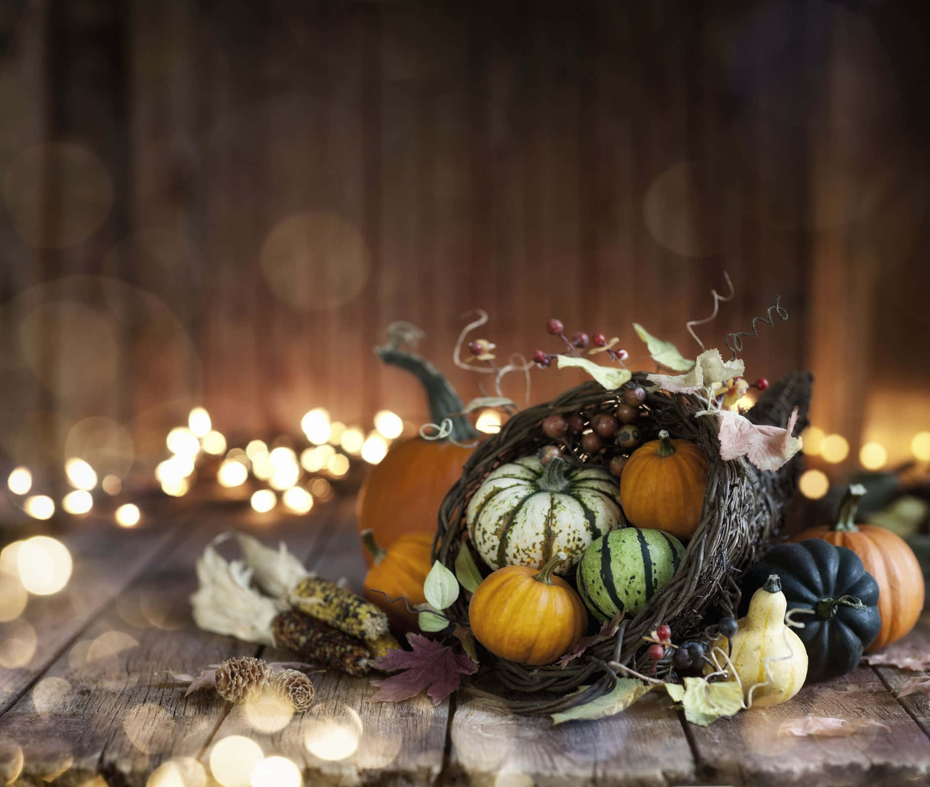 cornucopia, pumpkins, gourds, HD Desktop Wallpaper