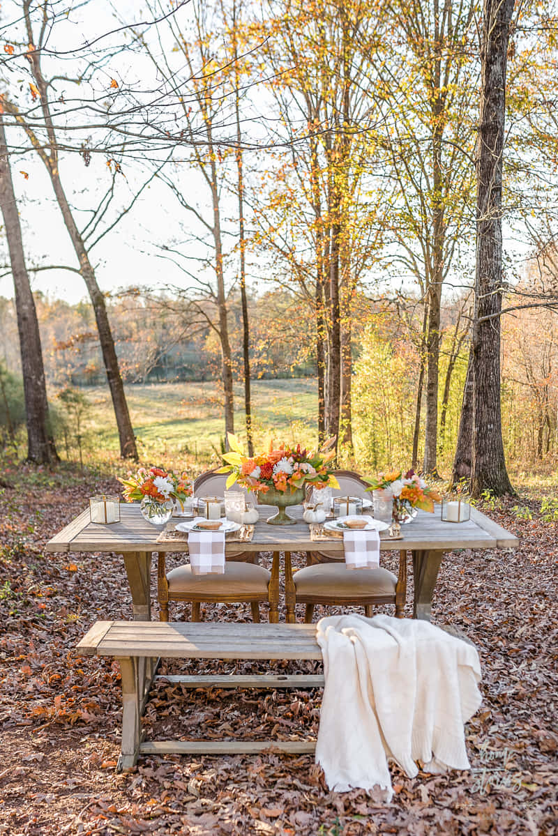 Fall Thanksgiving, rustic wooden table, golden trees, SD Phone Wallpaper