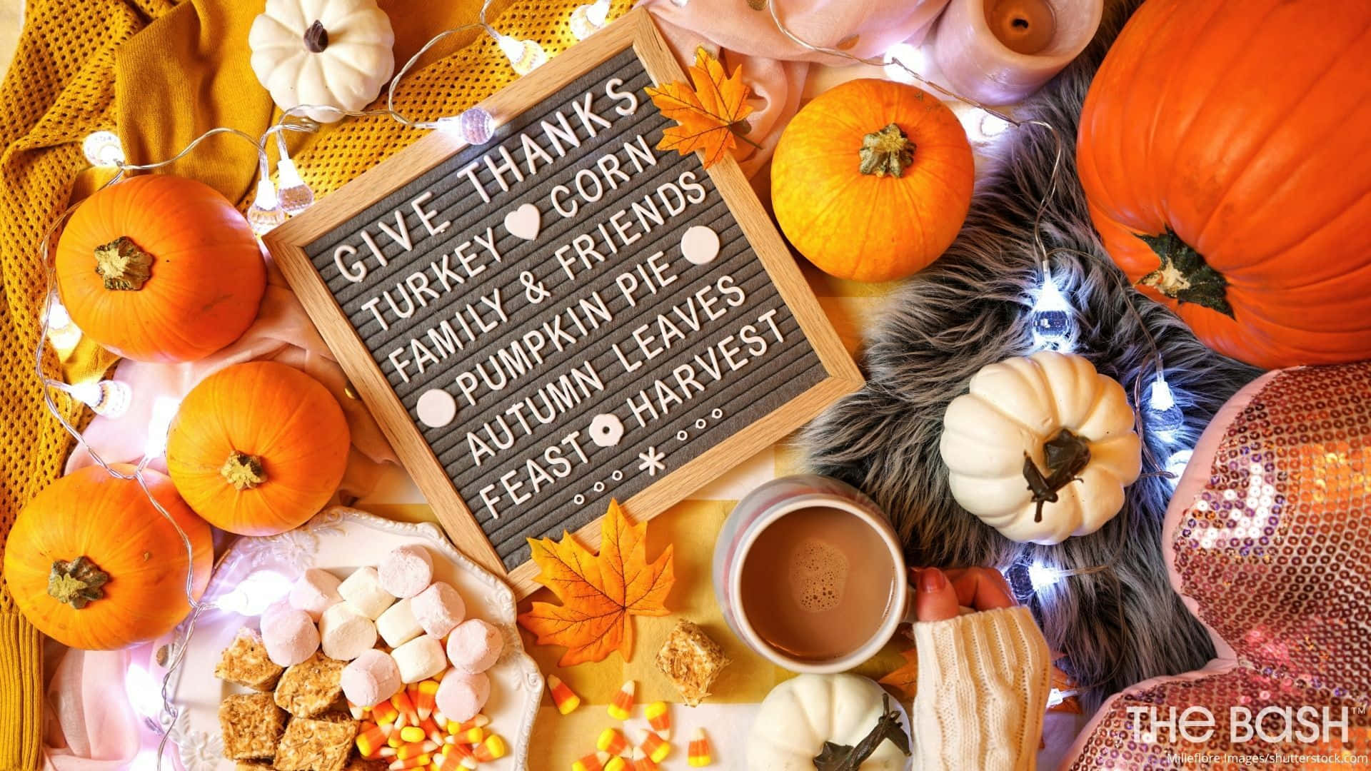 Fall Thanksgiving, pumpkins, marshmallows, Full HD Desktop Wallpaper
