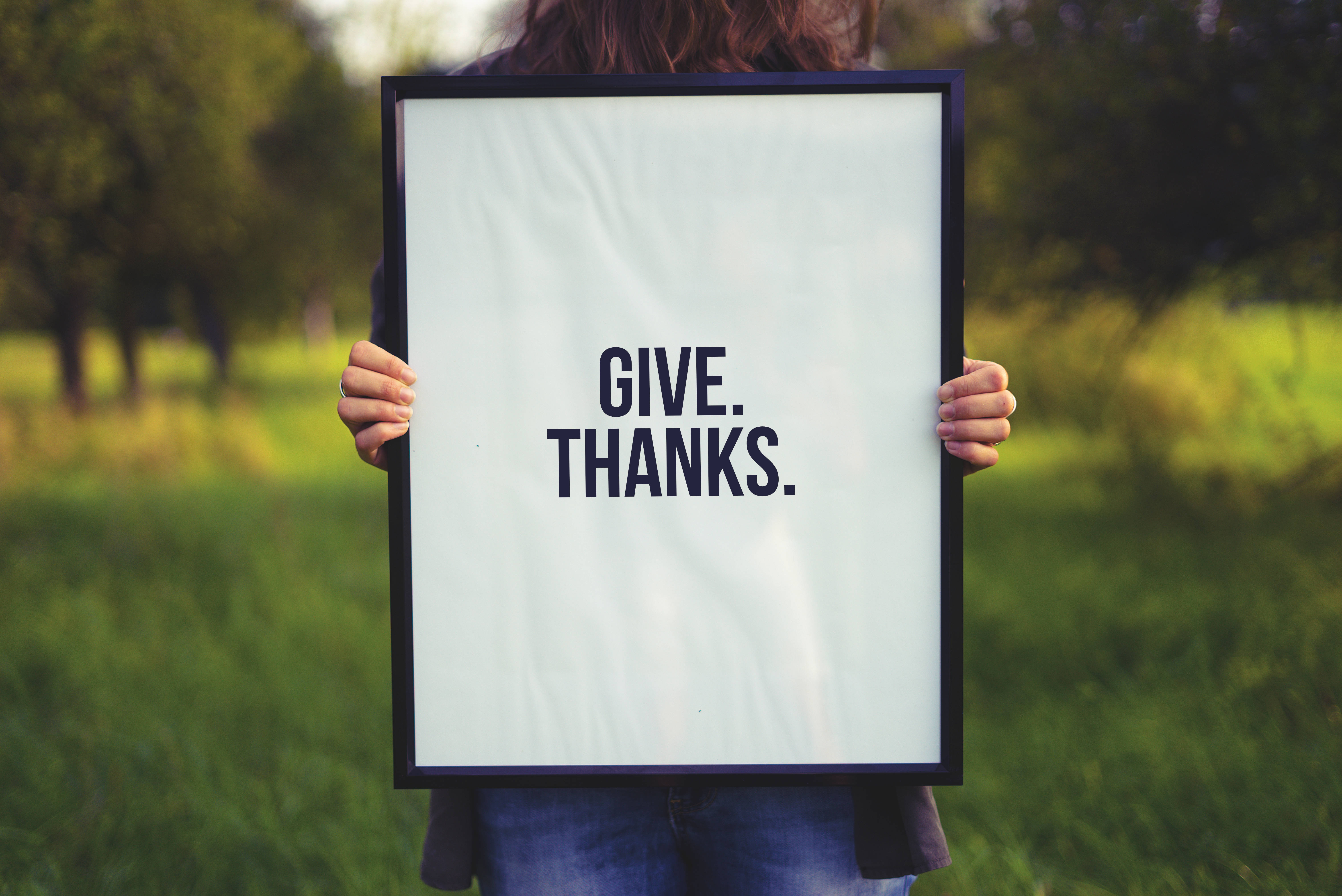 autumn setting, Thanksgiving harvest, framed sign, 5K Desktop Wallpaper