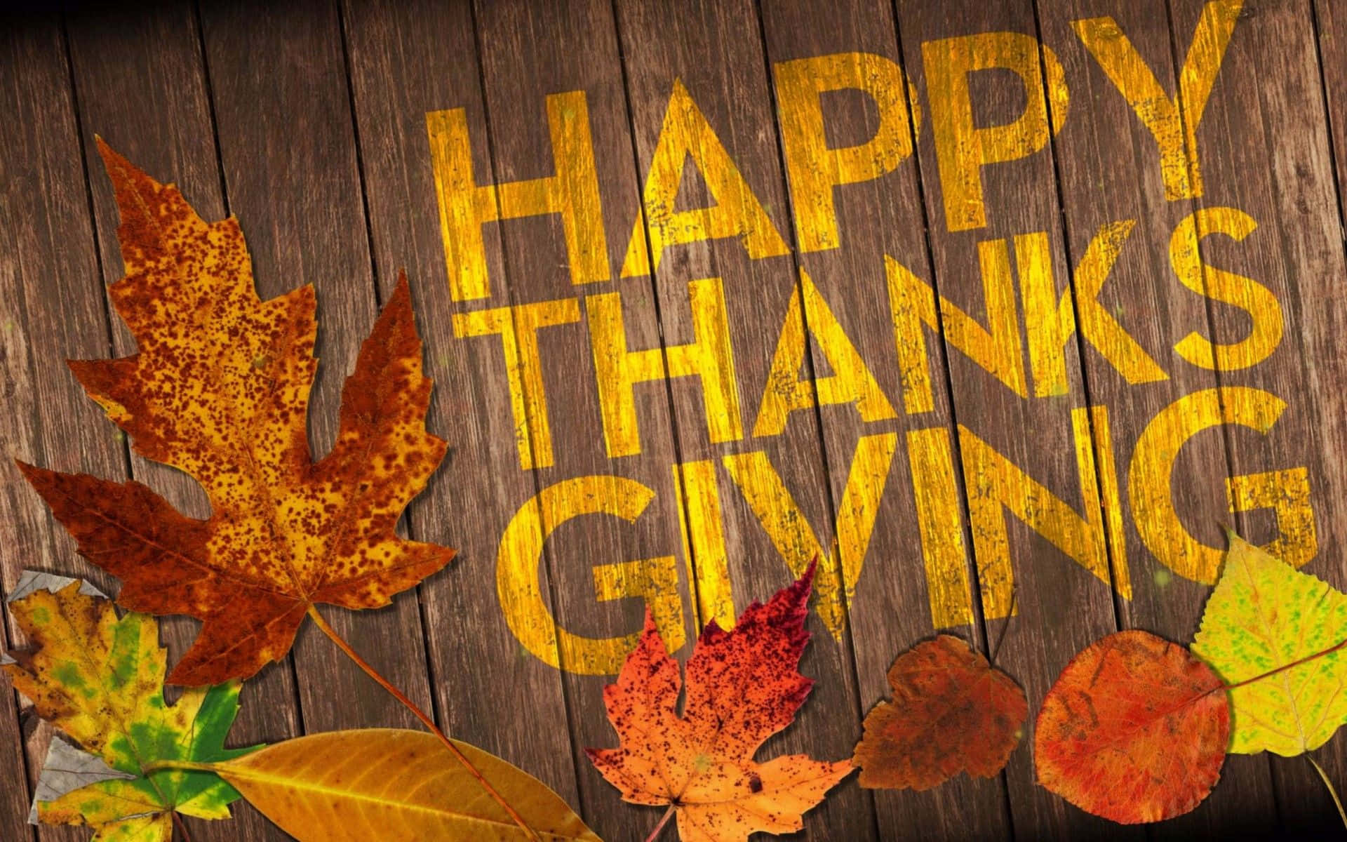 HAPPY THANKSGIVING, golden text, weathered wood, Full HD Desktop Wallpaper