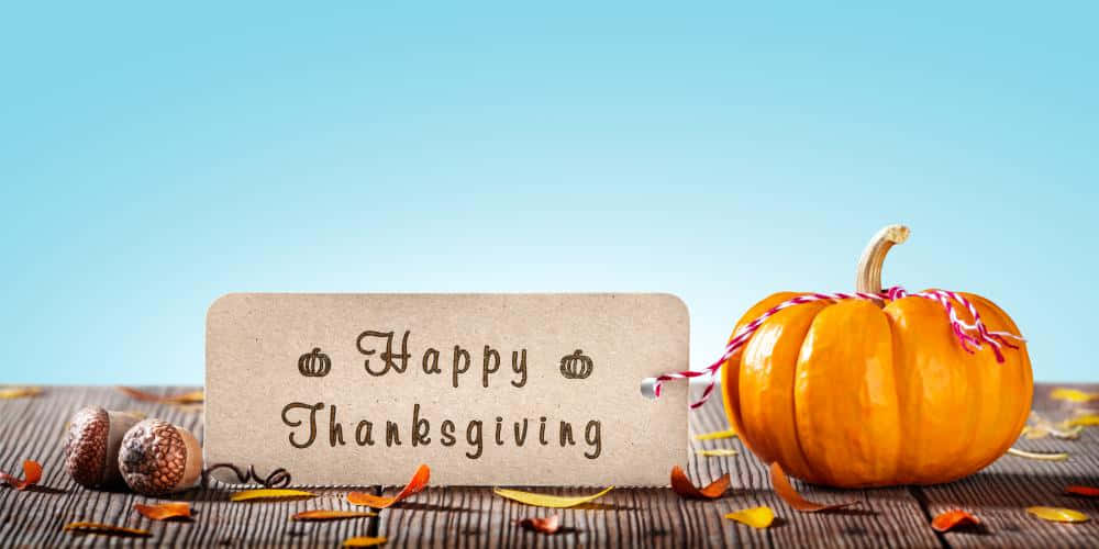 Fall Thanksgiving, Happy Thanksgiving, vibrant orange pumpkin, SD Desktop Wallpaper