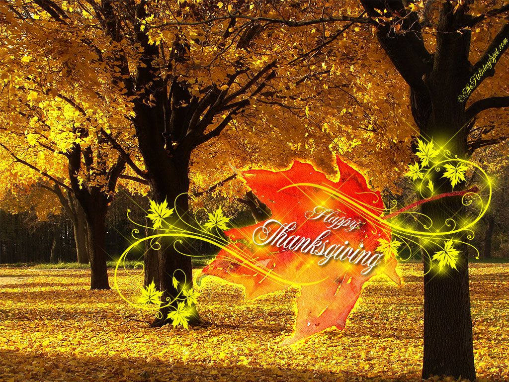 Thanksgiving Day, animated leaf, glowing red maple leaf, SD Desktop Wallpaper