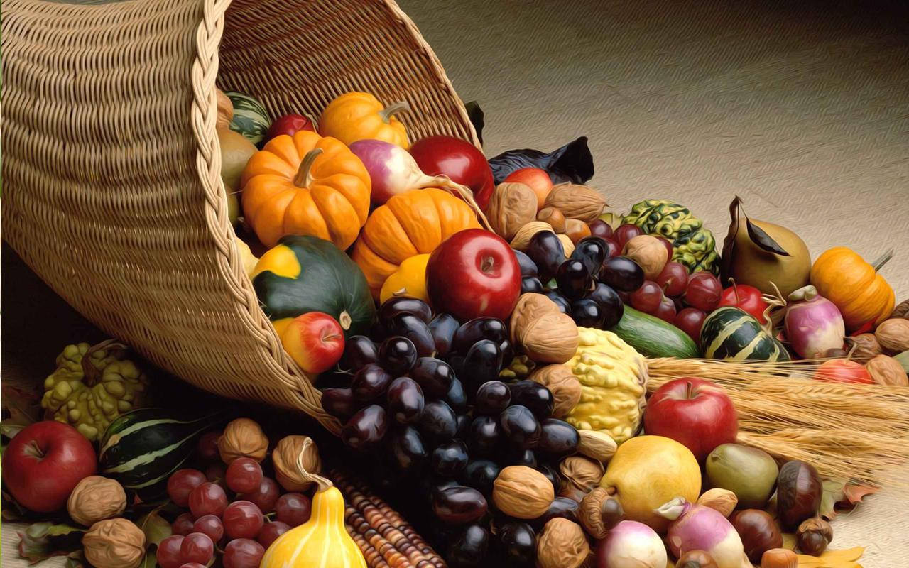 Thanksgiving, autumn harvest, pumpkins, HD Desktop Wallpaper